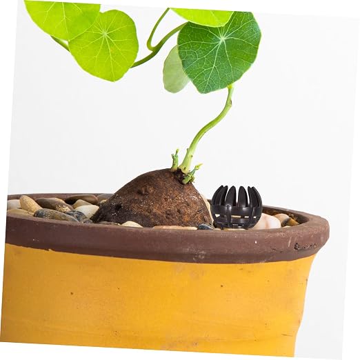 20Pcs Bonsai Fertilizer Mesh Baskets Durable Plastic Slow Release Fertilizer - Image 5
