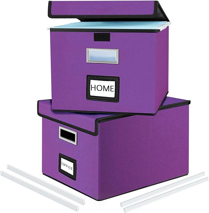 File Organizer Box with Lids, Collapsible File Folder Organizer | File Box with by Huolewa