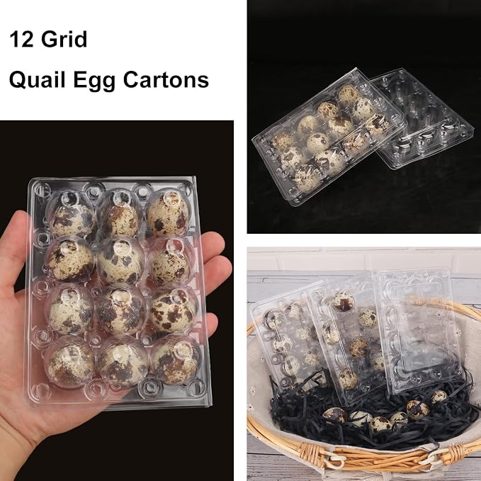 220 Pack Quail Egg Cartons, Holds up to 12 Quail Eggs Securely - Image 4