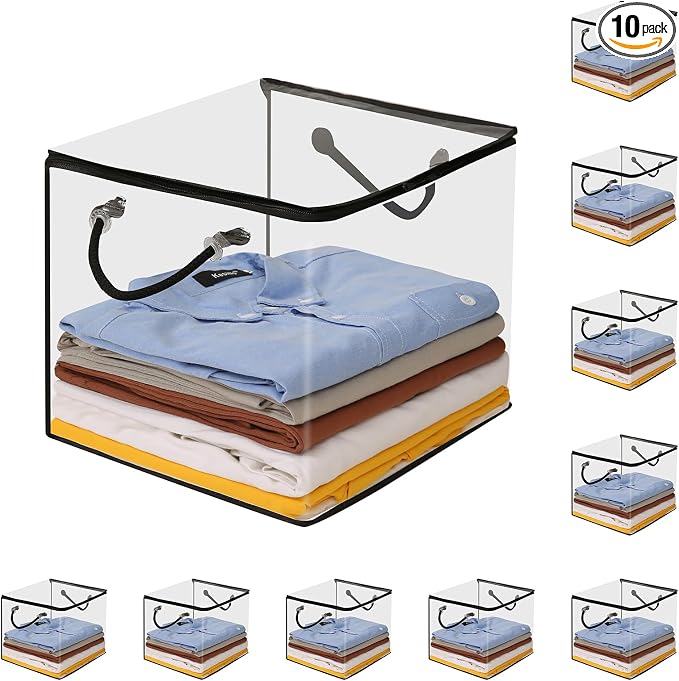 10 PCS Clear Zippered Storage Bags by Remittur