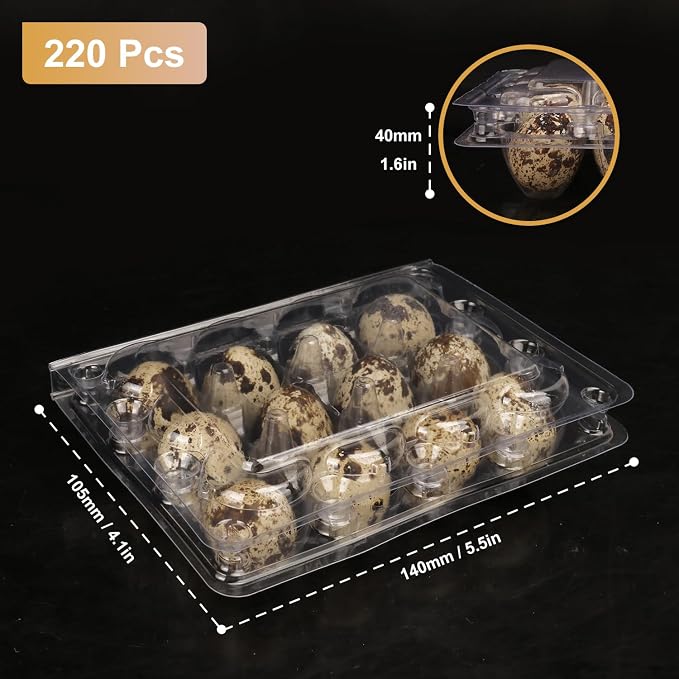 220 Pack Quail Egg Cartons, Holds up to 12 Quail Eggs Securely - Image 2