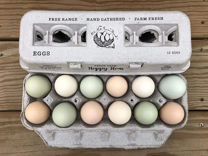 Egg Cartons- Adorable Printed Design - Image 7