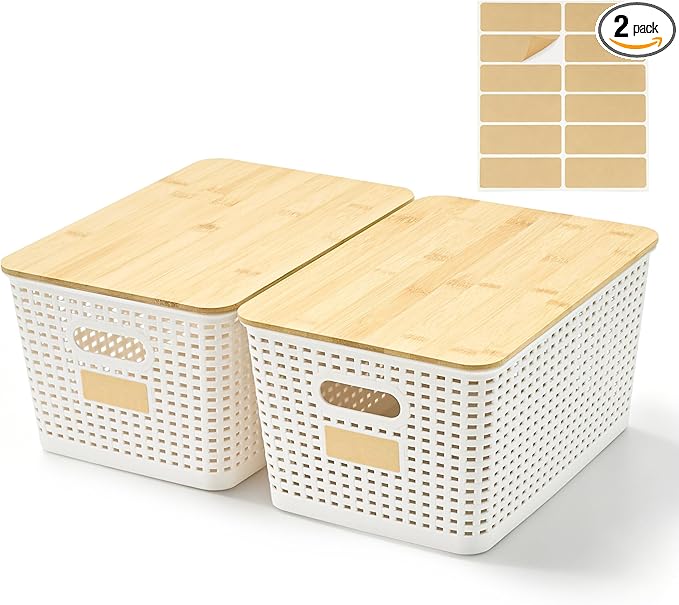 Bagnizer 2 Pack Tall Plastic Storage Bins by Bagnizer
