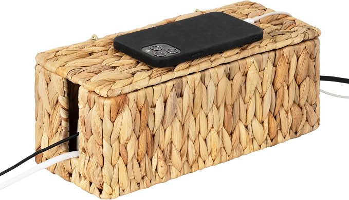 StorageWorks Cable Management Box, 2 Slots Wicker Cable Organizer to Hide Cords by StorageWorks