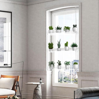 2-Pack Hanging Clear Plant Shelves - Image 7