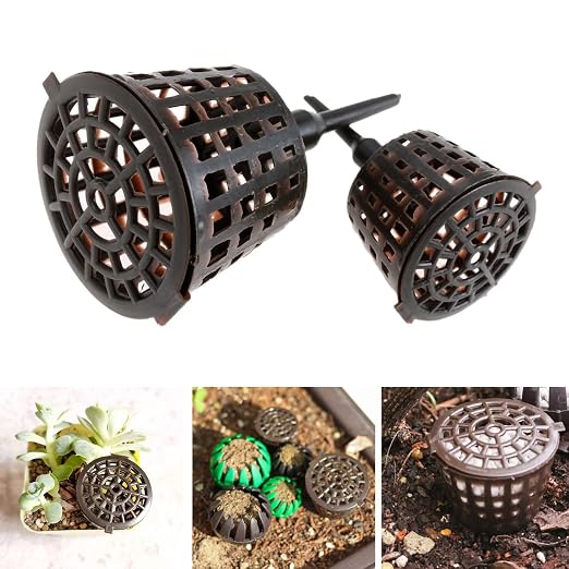 12 Pack Bonsai Fertilizer Pellets Basket Container Cactus Planting Nutrition - Image 5