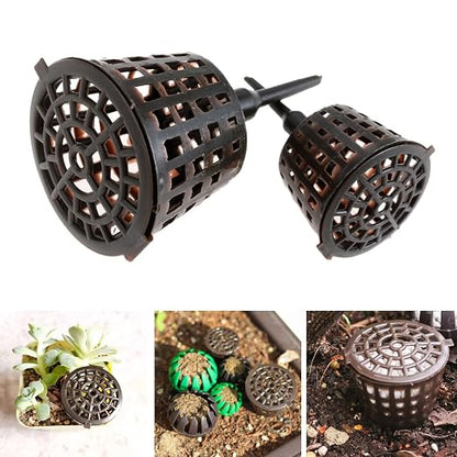 12 Pack Bonsai Fertilizer Pellets Basket Container Cactus Planting Nutrition - Image 5