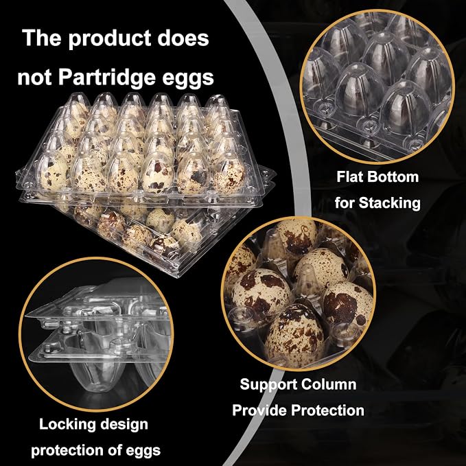 100 Pack Quail Egg Cartons, Holds up to 30 Quail Eggs Securely - Image 3