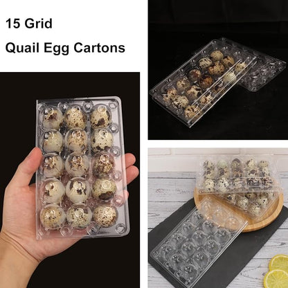 200 Pack Quail Egg Cartons, Holds up to 15 Quail Eggs Securely - Image 4
