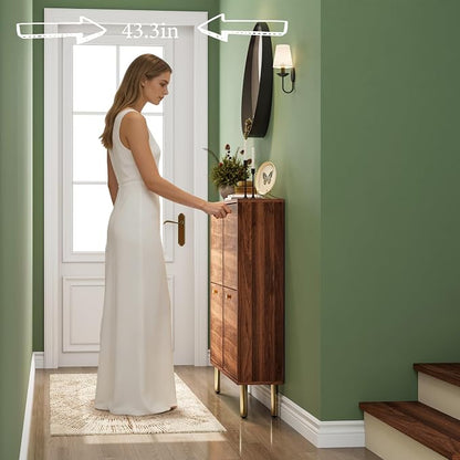 Nicetree Shoe Storage Cabinet for Entryway - Image 3