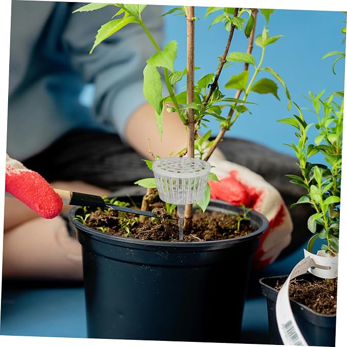 Milisten 10pcs Bonsai Fertilizer Box - Image 5
