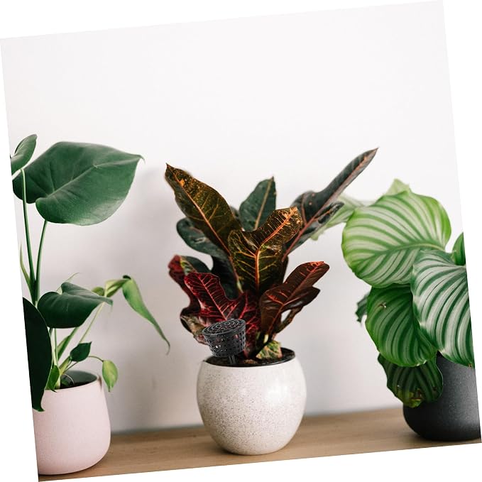Milisten 10pcs Bonsai Fertilizer Boxes - Image 4