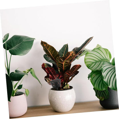 Milisten 10pcs Bonsai Fertilizer Boxes - Image 4