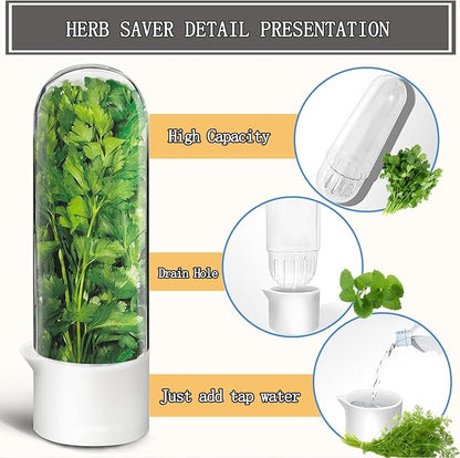 Herb Saver, Herb Keeper for Refrigerator, Cilantro Container for Fridge - Image 5