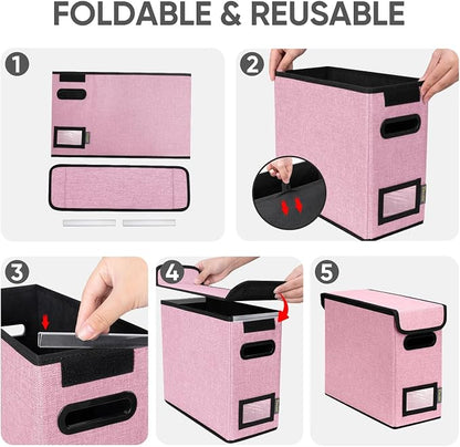 BALEINE File Organizer Box - Image 8