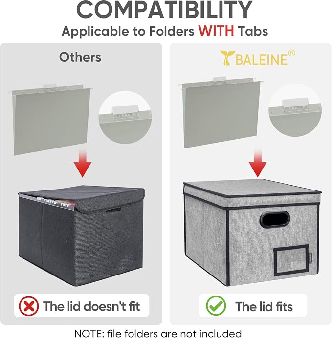 BALEINE File Organizer Box - Image 4