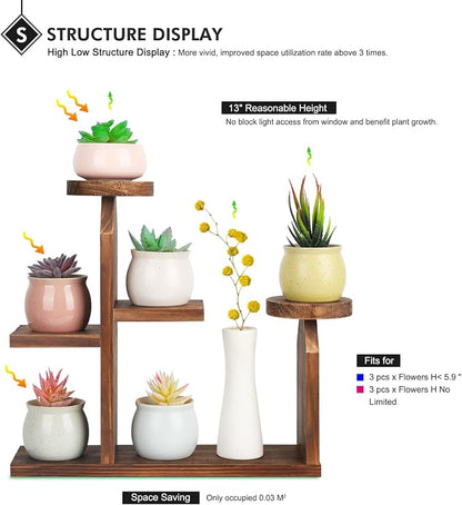 Wood Desktop Plant Stand - Image 3