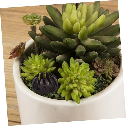 20pcs Plastic Fertilizer Container - Image 5