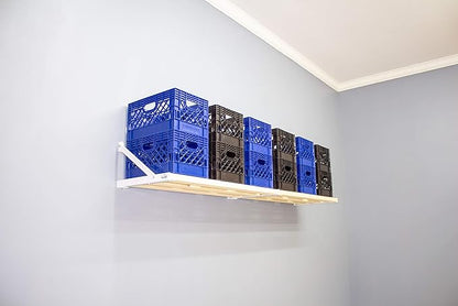 Rhino Shelf RhinoMini Universal Garage Storage Kit by RhinoShelf