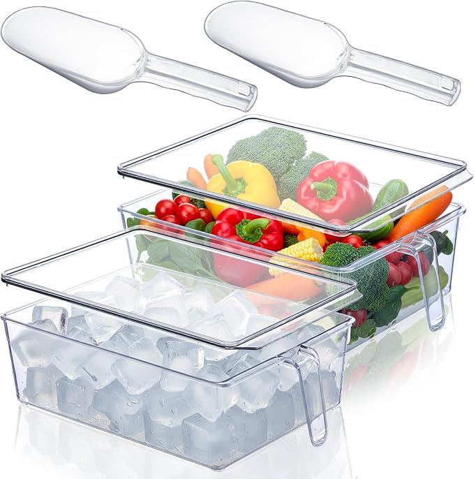 Havawish 4 Pcs Ice Storage Bin for Freezer by Havawish
