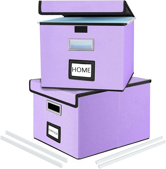 File Organizer Box with Lids, Collapsible File Folder Organizer | File Box with by Huolewa