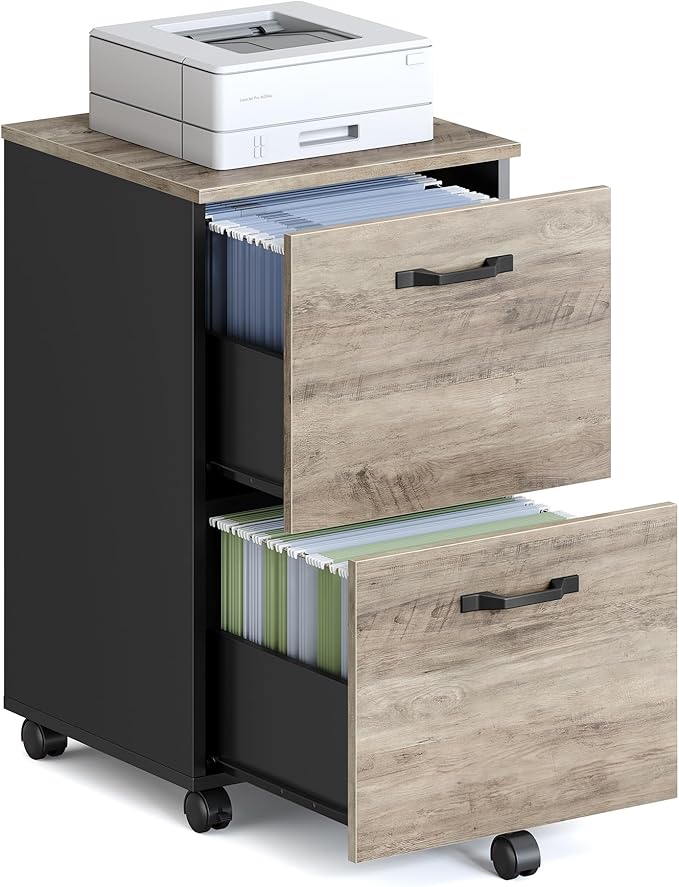 VASAGLE 2-Drawer File Cabinet, Small Rolling Filing Cabinet by VASAGLEbySONGMICSHOME