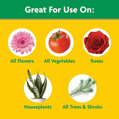 Miracle-Gro Water Soluble All Purpose Plant Food, 10 lb. | Fertilizer - Image 5