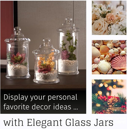 Set of 3 Glass Apothecary Jars - Image 7