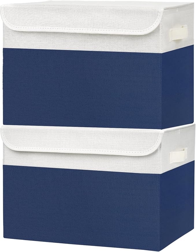 Bagnizer Large 42 Quarts Fabric Storage Bins by Bagnizer
