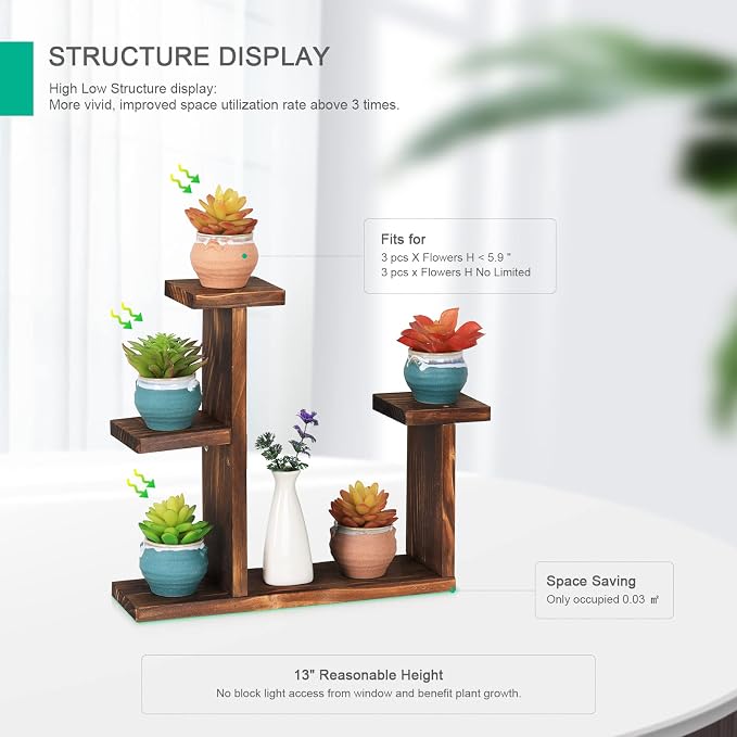 Wooden Tabletop Plant Stand - Image 4