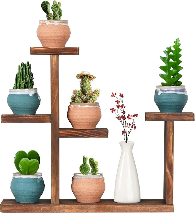 Wooden Tabletop Plant Stand by COOGOU