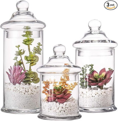 Set of 3 Glass Apothecary Jars by DiamondStar
