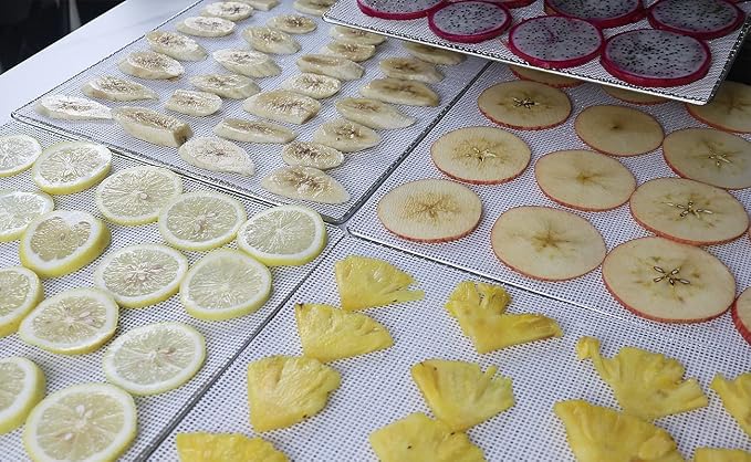 Mesh Silicone Dehydrator Sheets, 10x10 in 10 Pcs/Sets - Image 9
