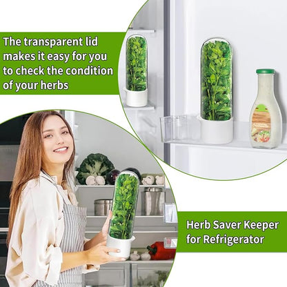 Cilantro Container for Fridge, Herb Saver for Refrigerator - Image 5