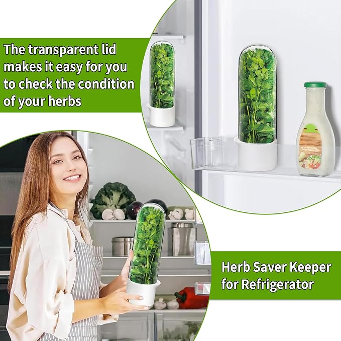 Cilantro Container for Fridge, Herb Saver for Refrigerator - Image 4