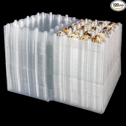 120 Pack Quail Egg Cartons by KUKLIPJIM