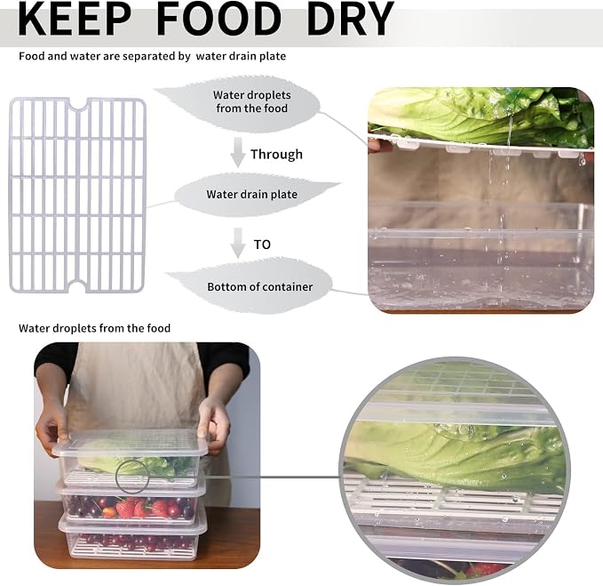77L Food Storage Container, Plastic Food Containers - Image 4