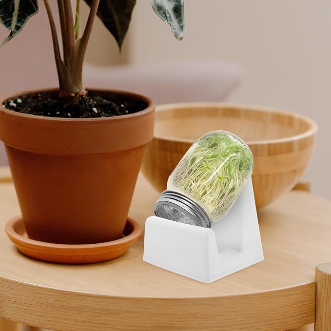 2pcs White Pp Sprouting Stand for Jars and Sprouts - Image 5