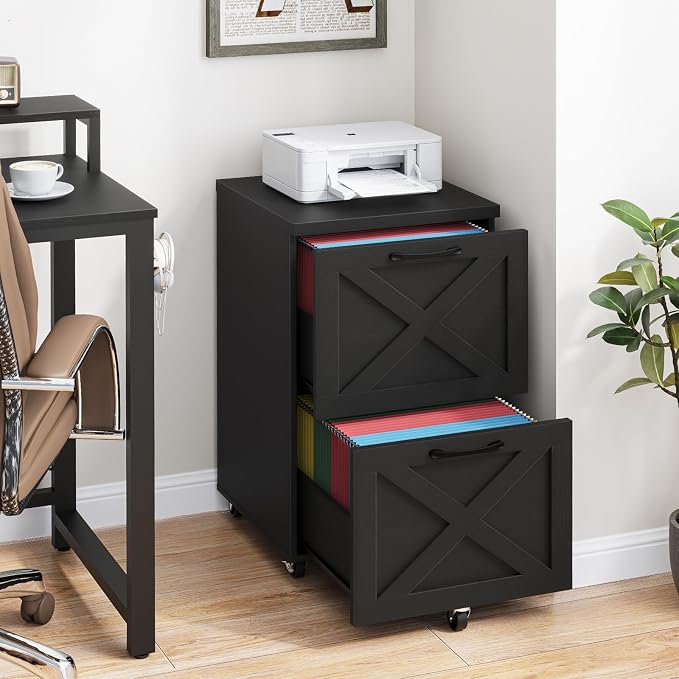 Halitaa Farmhouse 2 Drawer Small File Cabinet - Image 7