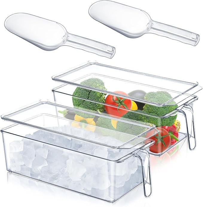 Havawish 4 Pcs Ice Storage Bin for Freezer by Havawish