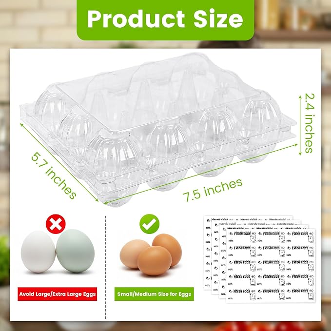 LOVEINUSA 100 PCS 12 Count Plastic Egg Cartons, - Image 2