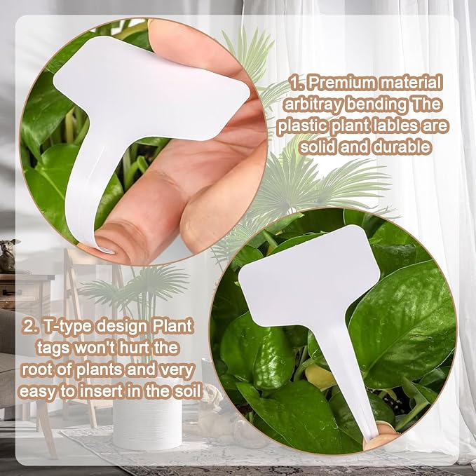 100 Pcs Seed Envelopes - Image 4