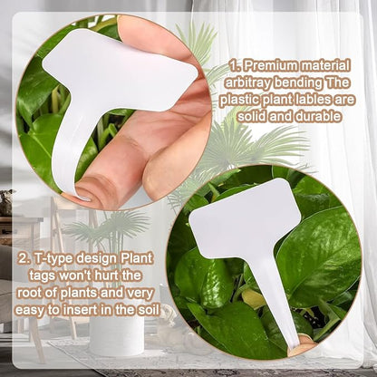 100 Pcs Seed Envelopes - Image 4