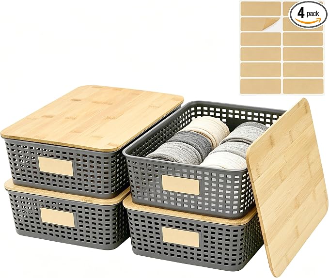 Bagnizer 4 Pack Plastic Storage Bins by Bagnizer