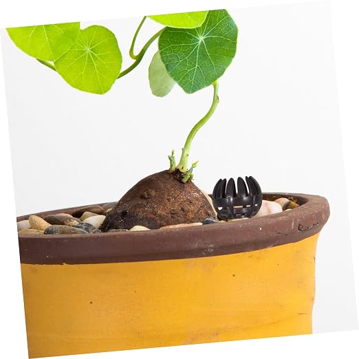 20pcs Plastic Fertilizer Container - Image 4
