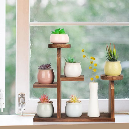 Wood Desktop Plant Stand - Image 7