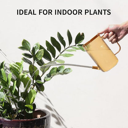 Watering Can Indoor Plants, ONEDONE Watering Can Long Spout Small Watering Can - Image 2