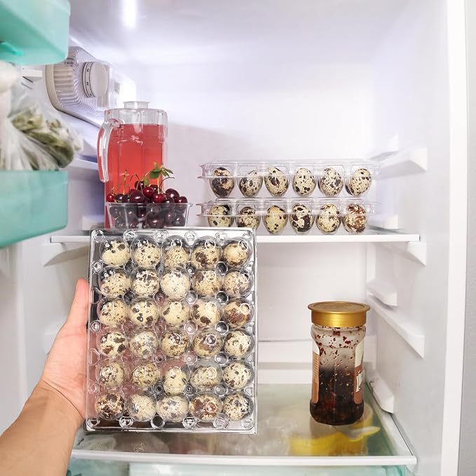 100 Pack Quail Egg Cartons, Holds up to 30 Quail Eggs Securely - Image 6