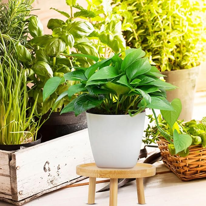 ARTIBETTER Wooden Plant Pot Stand - Image 4