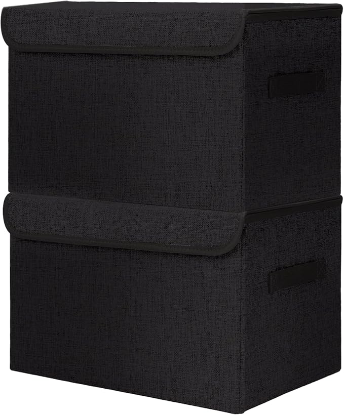 Bagnizer Large 42 Quarts Fabric Storage Bins by Bagnizer